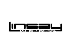 Linsay Tablet