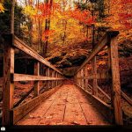 Ghost Win 10 1903 No Soft (Build 18362.295) – Autumn Memories 2019