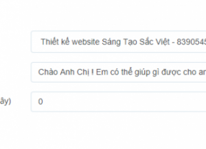 Hướng dẫn tích hợp Widget zalo Chat vào website wordpress