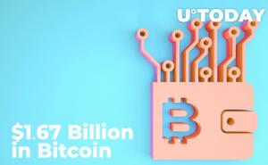 1,67 tỷ đô la Bitcoin được chuyển giữa các ví Anon khi BTC giảm xuống còn 60.000 đô la