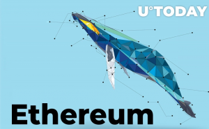 Cá voi Ethereum đang tích trữ nhiều tiền hơn, đây là lý do tại sao nó tăng giá