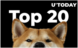 Shiba Inu lọt vào top 20 giữa cuộc biểu tình giá bùng nổ