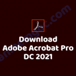 Hướng dẫn tải phần mềm Adobe Acrobat Pro DC 2021 giúp Đọc và chỉnh sửa PDF