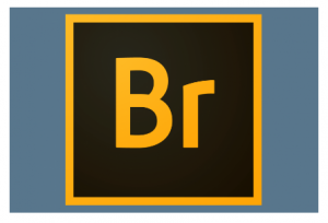 Hướng dẫn tải phần mềm  Adobe Bridge CC for Mac giúp quản lí hình ảnh cho Mac