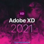 Hướng dẫn tải phần mềm Adobe XD CC 2021 giúp Thiết kế ứng dụng và trang web