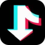 Download TikTok Downloader 3.3.2